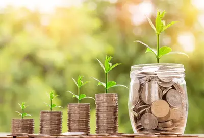 Como a sustentabilidade influencia a gestão de plataformas?