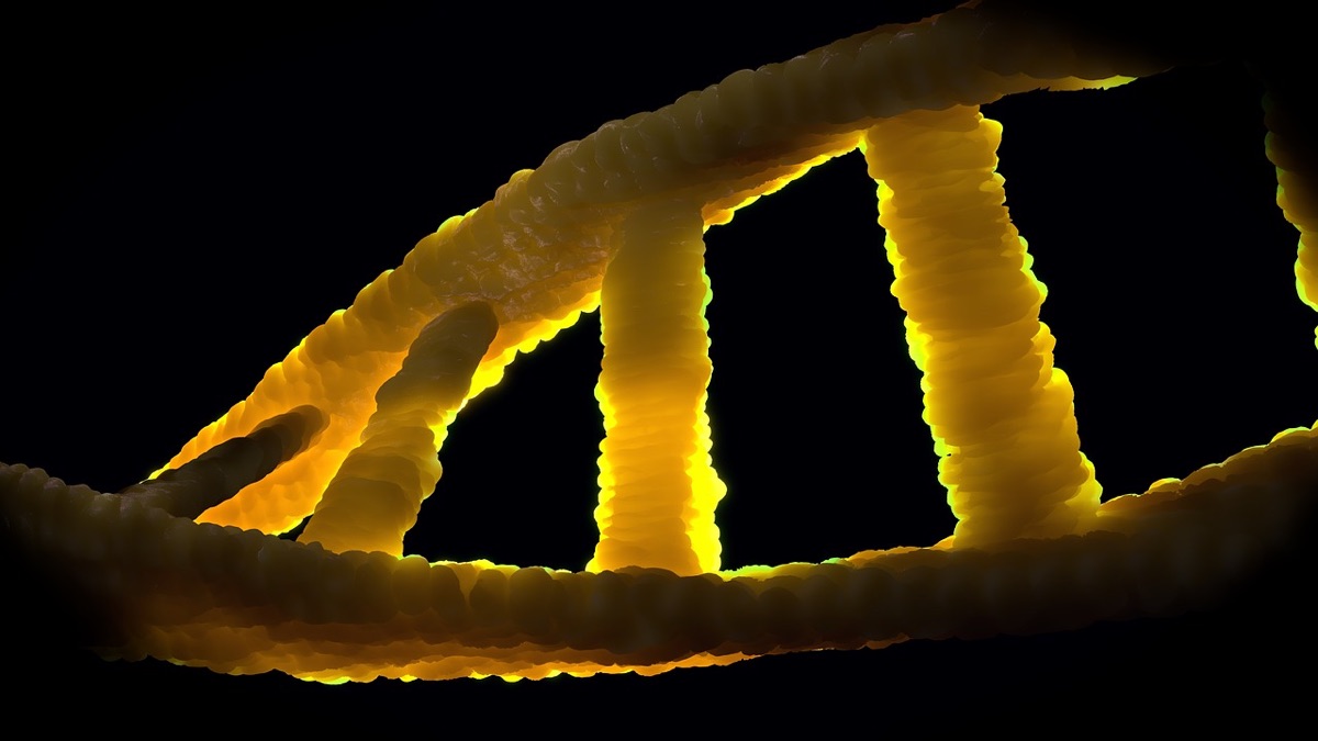 Medisch technoloog kijkt naar DNA-sequenties op een scherm