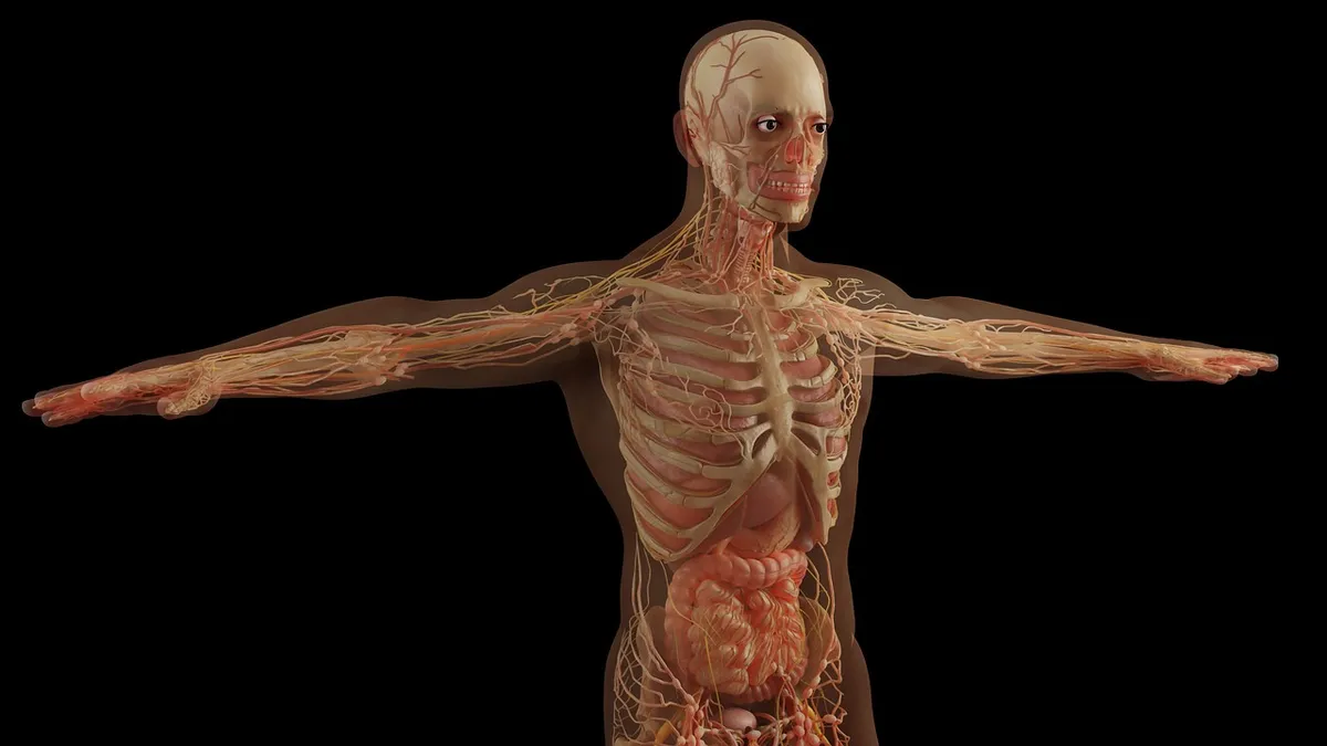 Stack of nursing books and anatomy model on a study table